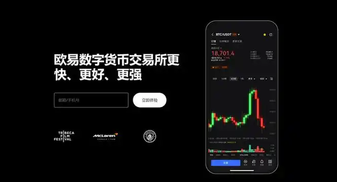 Topay钱包APP下载页面展示